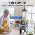 16A Mini WiFi Smart Switch DIY Breaker Relay Light Switch Timer Function eWeLink App Works with Alexa  Assistant lightify. 