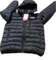 The North face Feather  jacket 800 series. 