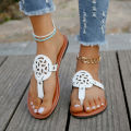 Summer The New Ladies Flip-Flops for Leisure Holiday Beach Toe-Clip Plus Size Flat Slippers for Women Designer Shoes Slippers. 