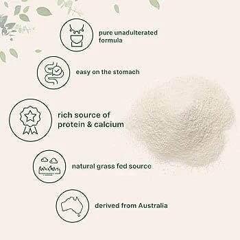 Goat%20milk%20powder%20Pure%20goat%20milk%20Natural%20goat%20milk%20Goat%20milk%20for%20kids%20Goat%20milk%20for%20adults%20Easy%20to%20digest%20milk%20Calcium%20rich%20milk%20Goat%20milk%20nutrition%20Goat%20milk%20for%20babies%20Healthy%20milk%20substitute%20200%20gram%20-%20Image%203