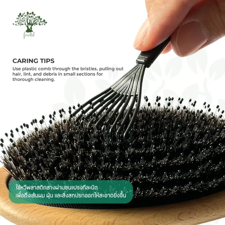 Forestal%20boar%20bristle%20hair%20brush%20(Beechwood)%20-%20Image%205