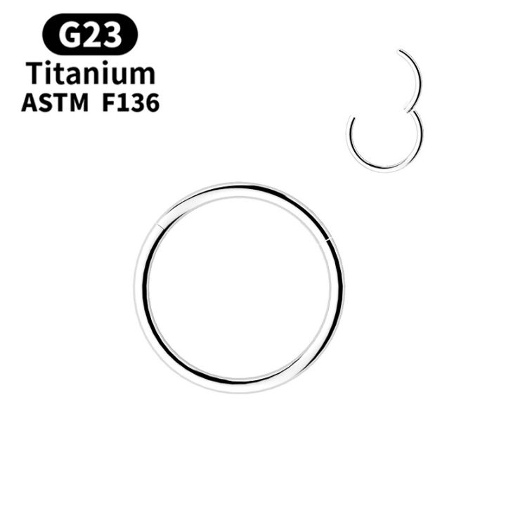 1Pc%20G23%20Titanium%20Hinged%20Nose%20Rings,%20Body%20Clips%20Hoop%20Rings%20For%20Women%20Men%20Cartilage%20Piercing%20Jewelry%20Segment%20Lip%20Ear%20Ring%20Jewelry%20-%20Image%202