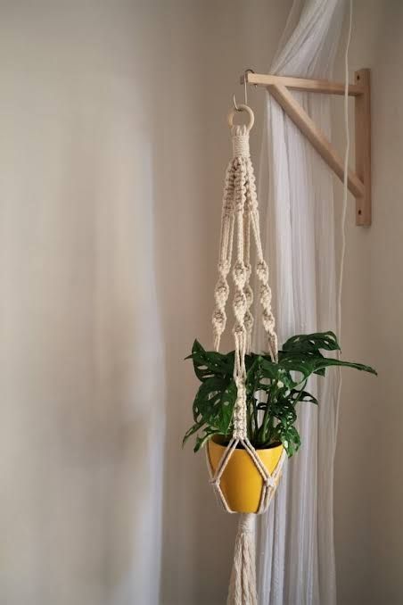 Macrame plant wall hanging