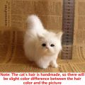 Cute Simulation Cat Plush Toys Hard Stuffed Kitten Model Fake Cat Realist Animals For Kids Girls Birthday Valentine's Day . 