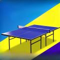 Wooden Table Tennis Board Standard Size. 