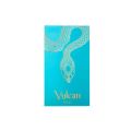 Vulcan Feu 100ml Unisex Perfume Middle East Dubai Arabic Fragrance For Men And Women Wholesale Beauty Atmosphere Birthday . 
