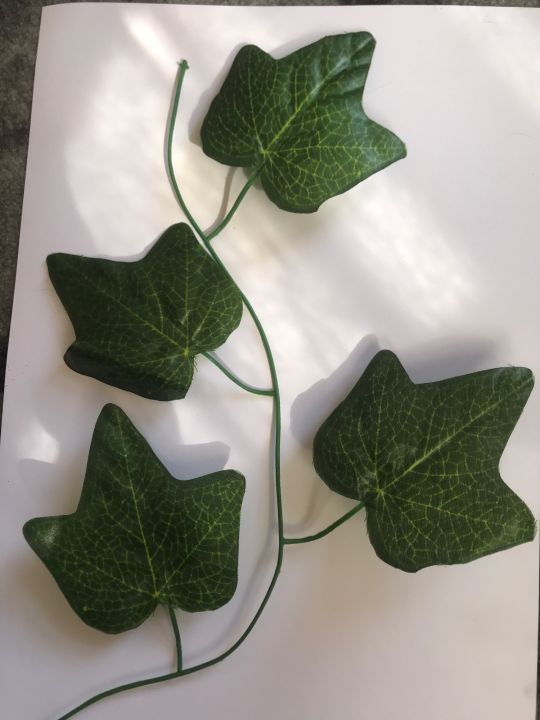 Leaf%20Vine%20Decor%20Strand%20%20Per%20-%207ft%206inc%20-%20Image%203