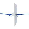 ZOERAX RJ45 Cat6 Ethernet Wall Plate with Female-Female Coupler Removable Compatible with Cat6/5/5e Ethernet Devices. 