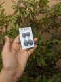 Resin Earrings. 