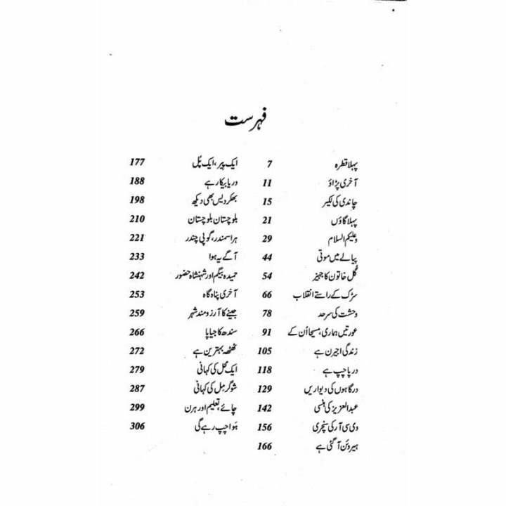 Sher%20Darya%20by%20Raza%20Ali%20Abidi%20-%20Image%202