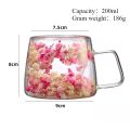 Double Wall High Borosilicate Clear Glass Cup Dried Flowers Glass Tea Cup Coffee Mug with Handle Heat Resistant Tea Cups.