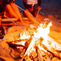5Pcs Marshmallow Roasting Sticks Extendable 32in Long Metal Barbecue Skewers with Wooden Handle Outdoor Camping Fire Pit Sticks.