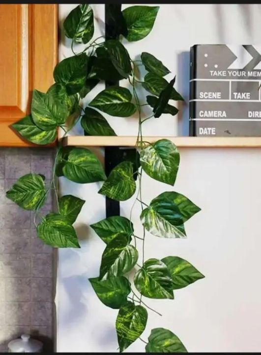 Enhance%20Your%20Space:%207.5%20Feet%20Long%20Artificial%20Money%20Plant%20Leaf%20Bail%20Garland%20for%20Home,%20Office,%20and%20Room%20Decoration%20-%20Image%202