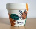 best quality of Mud Pot for plants. 