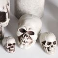 All Size Plastic Human Skull Head Skeleton Halloween Style Photo Prop Cranium Haunted House Statue Party Decor Game Supplies. 