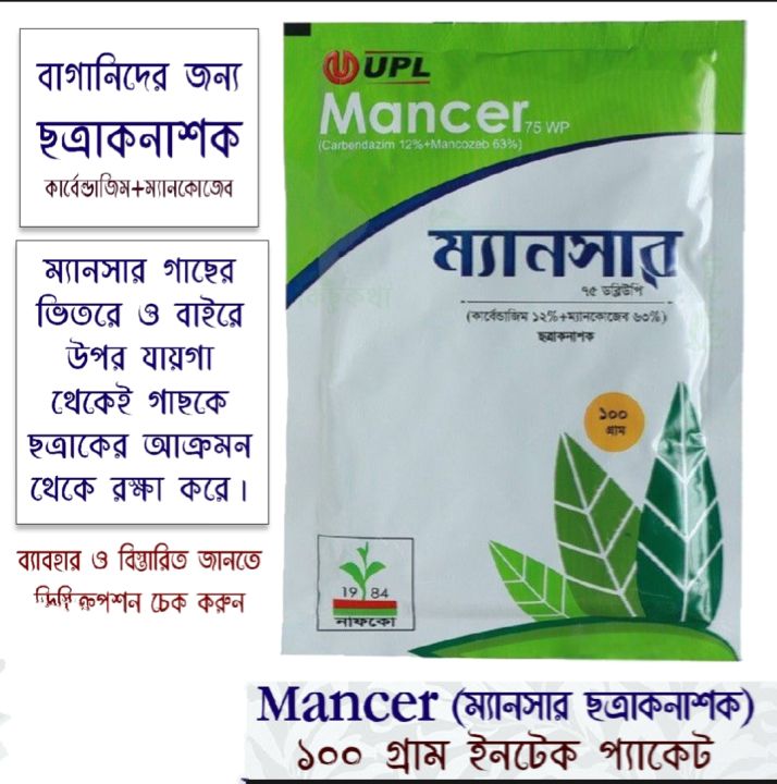 Mushuk bachadonini korsatdi