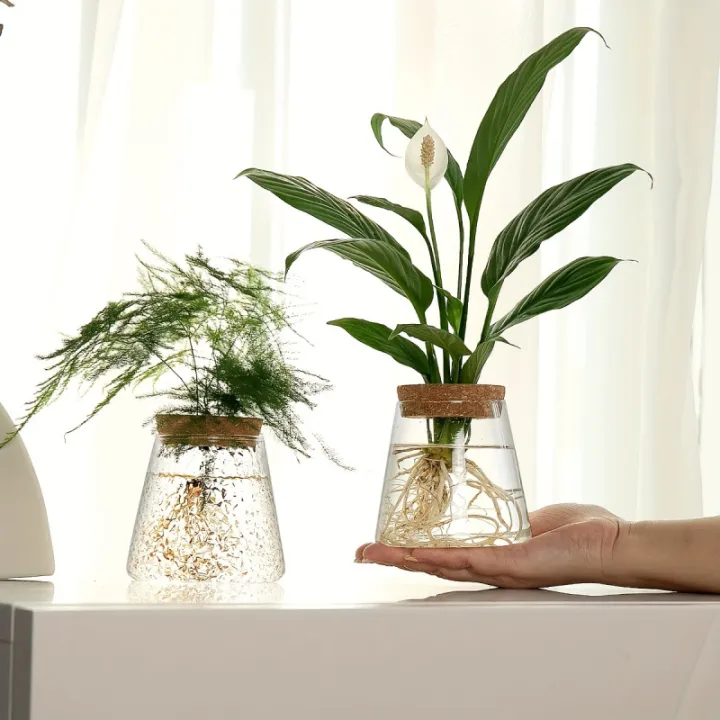 1pc,%20glass%20flowerpot%20breeding%20station%20vase%20rack%20desktop%20hydroponic%20plant%20cuttings%20office%20home%20decoration%20-%20Image%206