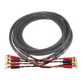 YYAUDIO One Pair HiFi Speaker Cable High Purity 6N OFC Core with Banana and Y 24K Gold Plug Horn Cable for Amplifier Speaker.