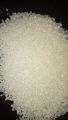 Kristal saguseed imported 5 kg wholesale price.. 