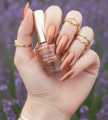 Nail paint / Emelie Premium Nail polish / Nail polish / various Nail paint colors for girls / Nails Makeup for girls. 