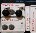 TS-T120 Hight Quality Tweeter (800W). 