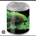 imported Aquarium (480 C). 