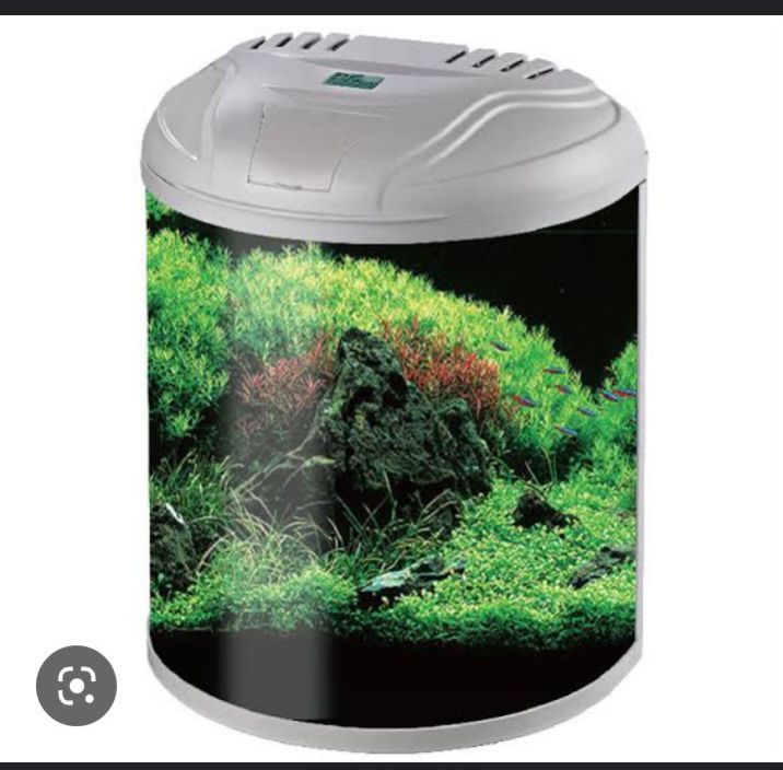 imported Aquarium (480 C)
