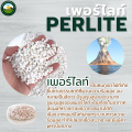 Perlite (Perlite), Planting Material, Imported High Grade, Air Purifying Plants, Prevents Rotten Roots, Plants That People Like in This Era, Auspicious Plants, Indoor Plants.. 