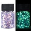 Luminous Nail Glitter Sequin Polymer Clay Mixed Flower Gillter Sequin Fluorescent Flake Glow In The Nail Art Manicure Decor. 