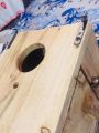Pack of 3 Hooks Breeding Box - Huqs for Box. 