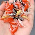 5Pcs Dollhouse Miniature Model Fish Carp Simulation Animals For Kids Toys DIY Decorative Goldfish Figurines Home Decor Ornament. 