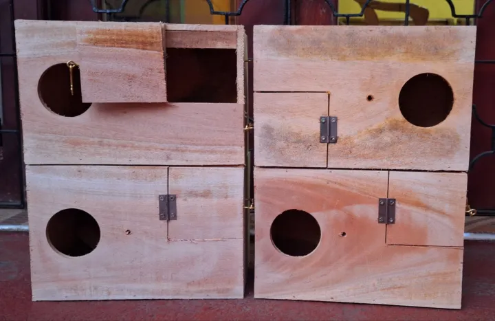 Cockatiel%20&%20Parakeet%20Breeding%20Box%20%7C%20Wood%20Nest%20Box%20%7C%20Bird%20House%20%7C%20Lock%20Type%20%7C%20Cocktail%20-%20Image%203