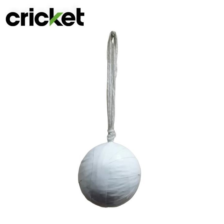 Hanging%20Ball%20with%20or%20without%20Elastic/Rope%20Hangable%20Soft%20Cricket%20Ball%20for%20shot%20practice%20-%20Image%202
