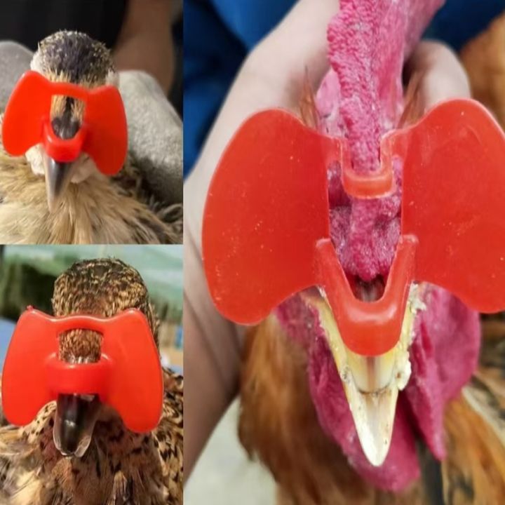 20/50/100%20Pcs%20Chicken%20Glasses%20with%20Non-bolted%20Clips%20Anti-pecking%20and%20Fighting%20Type%20of%20Non-nasal-piercing%20Without%20Bolts%20-%20Image%204