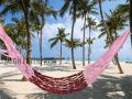 Strong and sturdy swing for kids and adults ( দোলনা ).