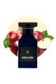 Stallion | Newest Most Demanded Perfume | Scents N Stories | 50ml. 