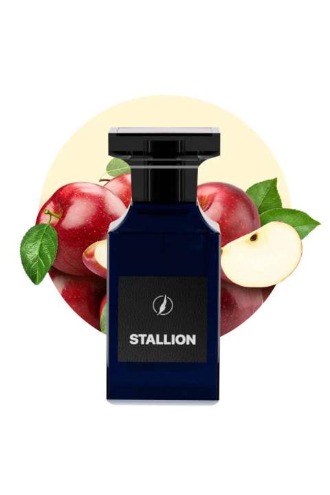 Stallion | Newest Most Demanded Perfume | Scents N Stories | 50ml