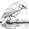 PLANTS & BIRDS Coloring Book 26 Pages Original Design For Children Adult Picture Book Kill Time Graffiti Painting Drawing. 