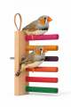 Colorful Wooden Bird Perch Stand – 6 Multicolor Rods Sitting Stand for Small Birds | Finch, Budgie, Lovebird, Canary, Parrotlet. 