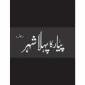 Pyar Ka Pehla Shehr (Novel) by Mustansir Hussain Tarar -Deluxe Edition. 