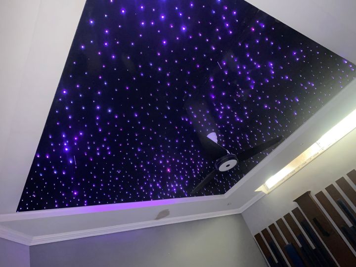 Fiber%20Optic%20Light%20-%20Image%202