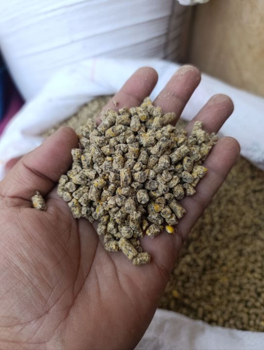 Chickens%20Poultry%20Feed%20No%2013%20broiler%20breeder%20crumbs%201KG%20-%20Image%203