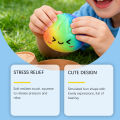 Needoh Rainbow Bun Squishy Toy Slow Rising Stress Relief Cute Simulation Shape Portable Pressure Toy For  Office Relaxation. 