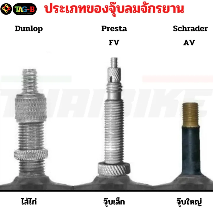 Bike%20inner%20tube%20700C%20Schwalbe%20700x28c-45c%20sv17%20av17%20-%20Image%204