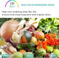 Cxyemt G9 LED Bulbs 3 W Replaces 28 W 33 W 40 W Halogen Bulbs, 6000 K Cool White G9 LED Energy Saving Light Bulb, AC 220-240 V, Not Dimmable, No Flickering Bulb, Pack of 5. 