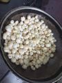 desi panjeeri. 