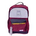 Hasai Classic Travel Backpack for School And College| Unisex Backpack for official And Casual Purposes. 