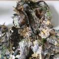 Men Women  Outdoor Ghillie Suit Camouflage Clothes Jungle Suit CS Training Leaves Clothing Hunting Suit Pants Hooded Jacket. 