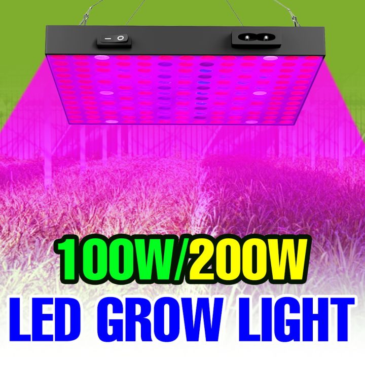 200W Full Spectrum Grow Light LED Quantum Board Plant Fill Lamp Indoor ...
