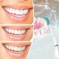 Lächen Sonic RM-T8B Electric Toothbrush with 3 Brushes Heads and Timer, 3 Modes & 3 Vibration Strengths with Travel Bag (PINK). 
